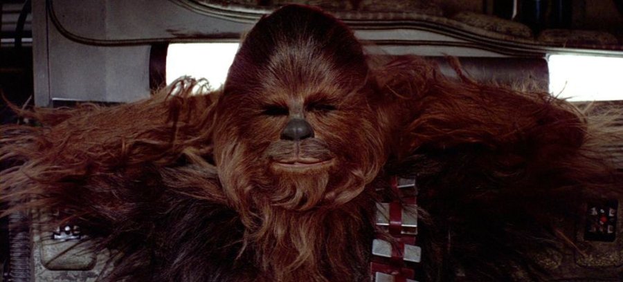 The Tragic History of&nbsp;Chewbacca