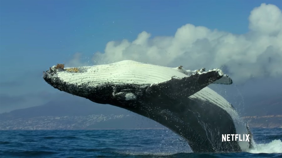 Our Planet Makes the Implicit&nbsp;Explicit